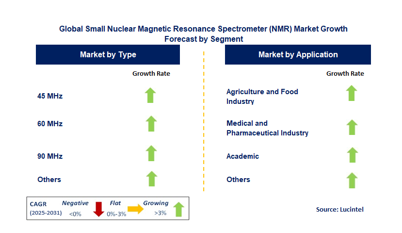 Small Nuclear Magnetic Resonance Spectrometer (NMR) Market by Segment