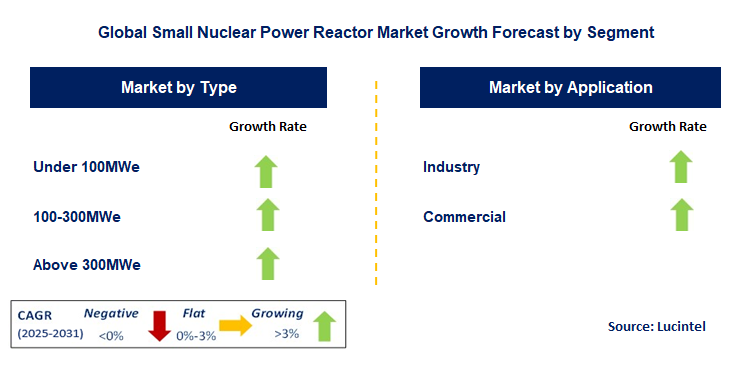 Small Nuclear Power Reactor Market by Segment