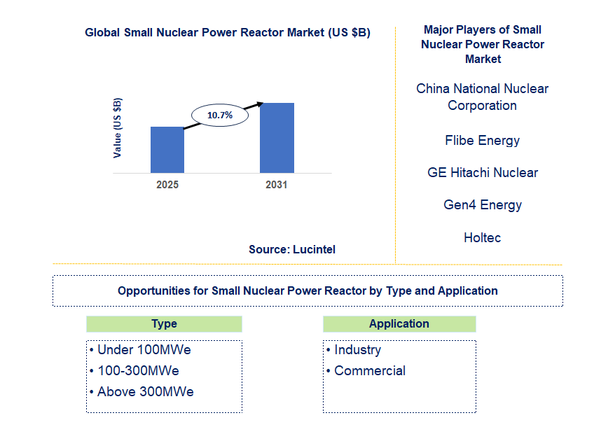 Small Nuclear Power Reactor Market Trends and Forecast