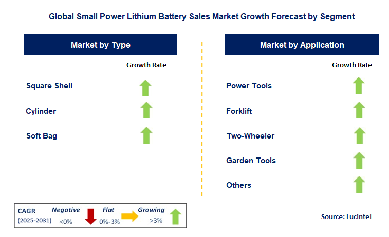 Small Power Lithium Battery Sales Market by Segment