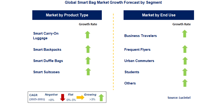 Smart Bag Market by Segment