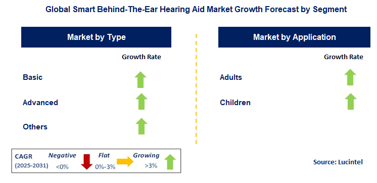 Smart Behind-The-Ear Hearing Aid Market by Segment