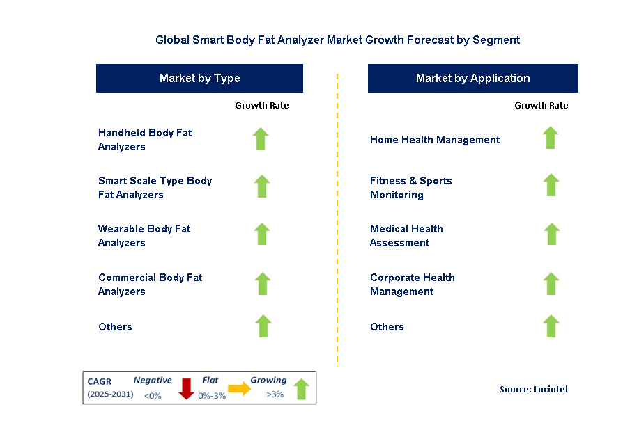 Smart Body Fat Analyzer Market by Segment