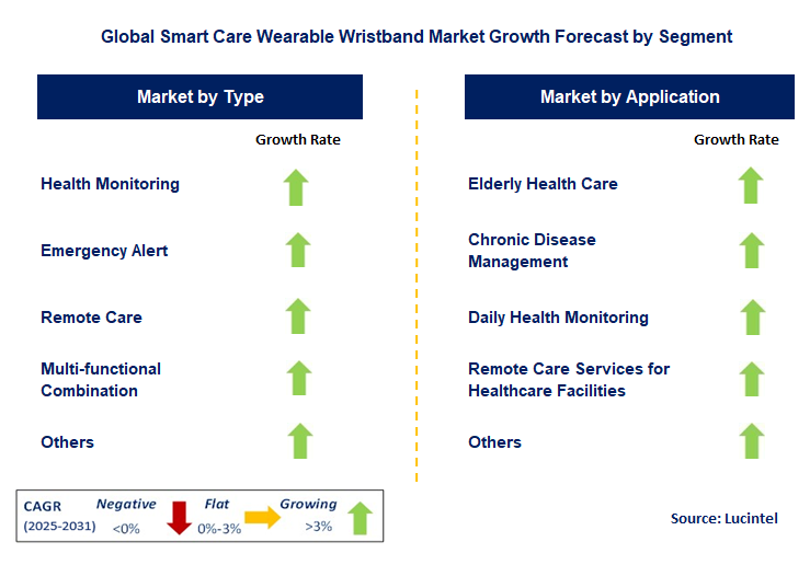 Smart Care Wearable Wristband Market by Segment
