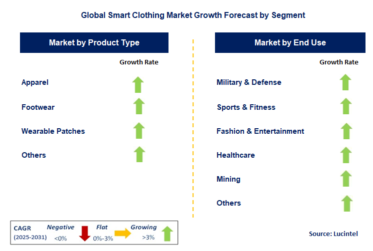 Smart Clothing Market by Segment