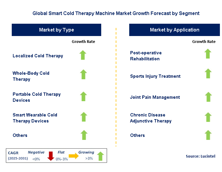 Smart Cold Therapy Machine Market by Segment