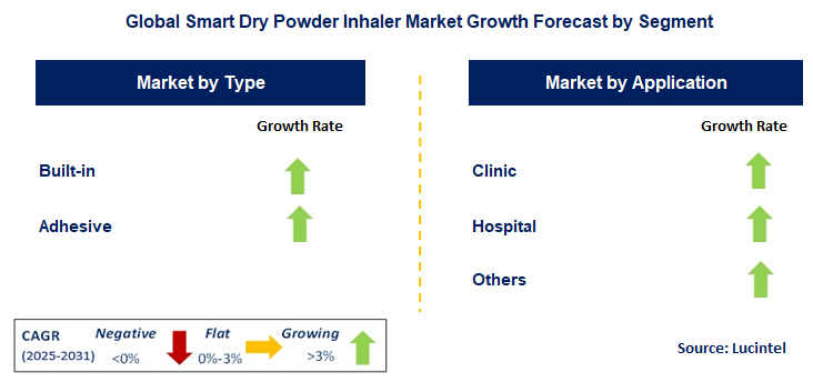 Smart Dry Powder Inhaler Market by Segment