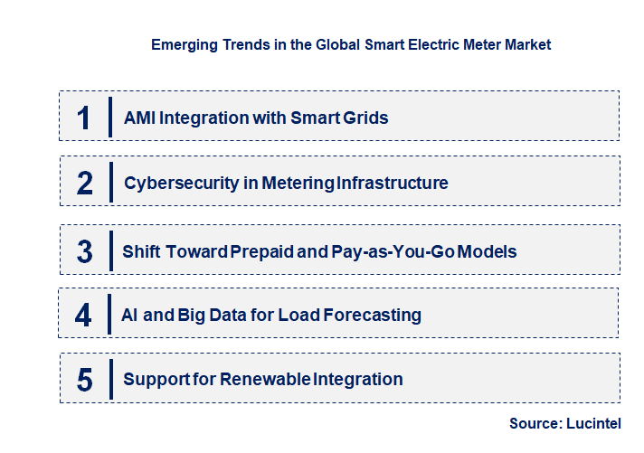 Emerging Trends in the Smart Electric Meter Market
