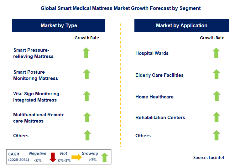 Smart Medical Mattress Market by Segment