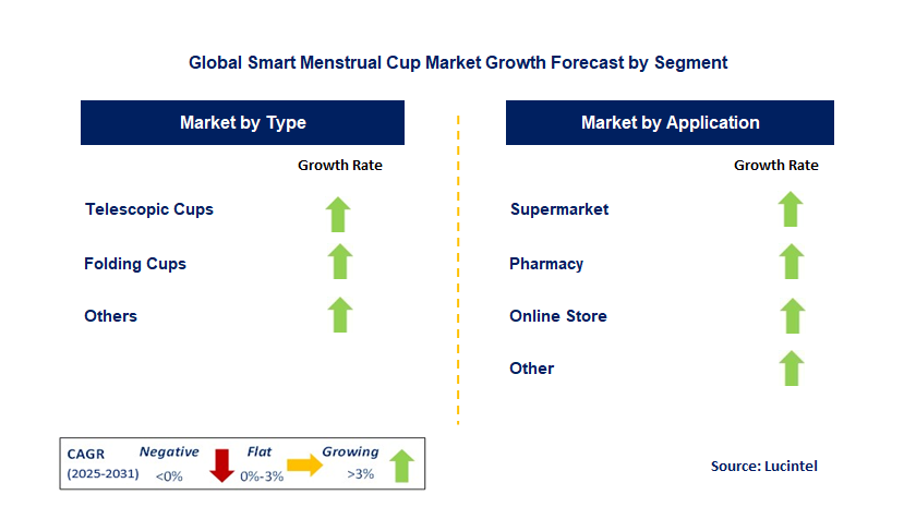 Smart Menstrual Cup Market by Segment