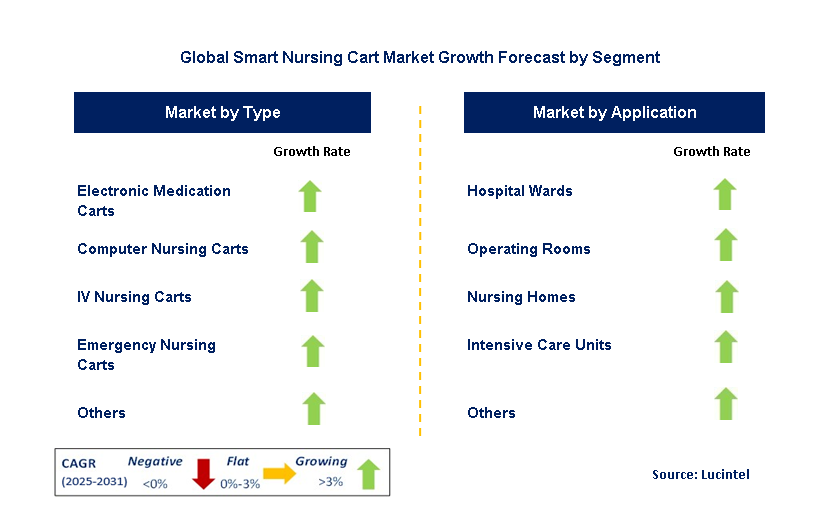 Smart Nursing Cart Market by Segment