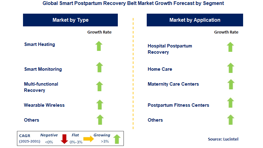 Smart Postpartum Recovery Belt Market by Segment