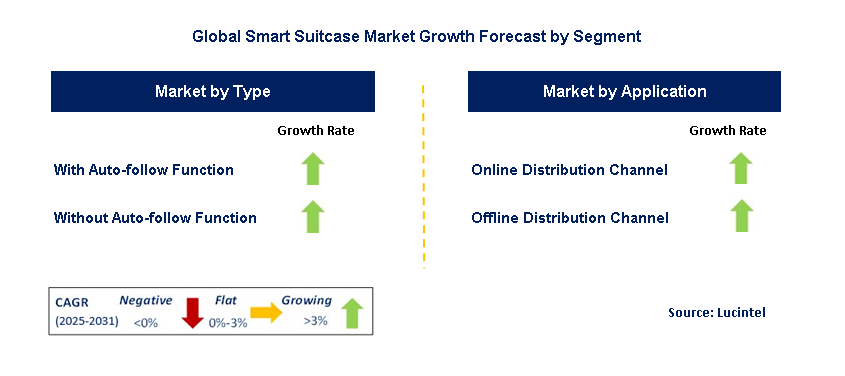 Smart Suitcase Market by Segment