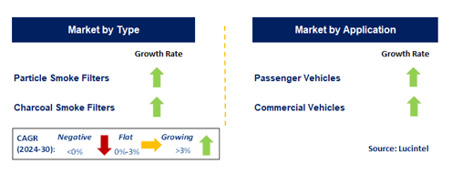 Smoke Filter for Vehicle by Segment