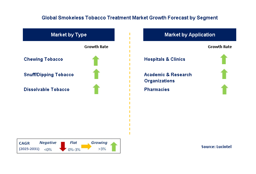 Smokeless Tobacco Treatment Market by Segment