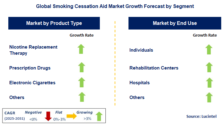 Smoking Cessation Aid Market by Segment