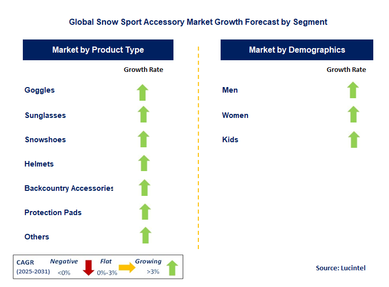 Snow Sport Accessory Market by Segment