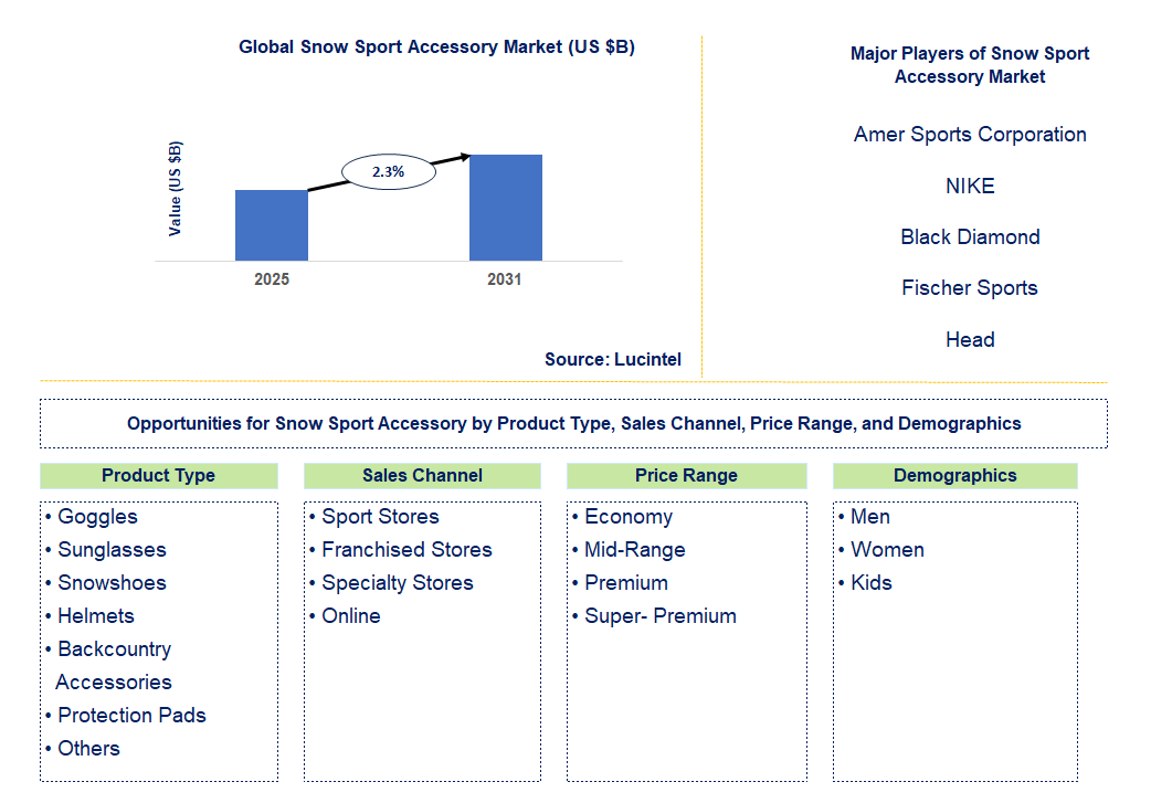 Snow Sport Accessory Market Trends and Forecast