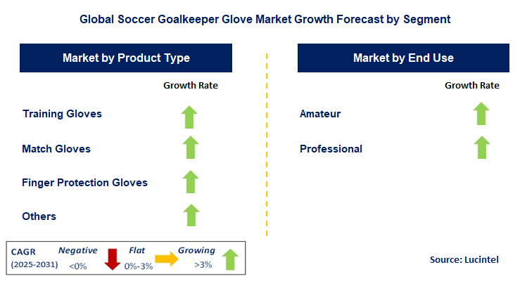 Soccer Goalkeeper Glove Market by Segment