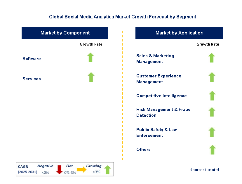 Social Media Analytics Market by Segment