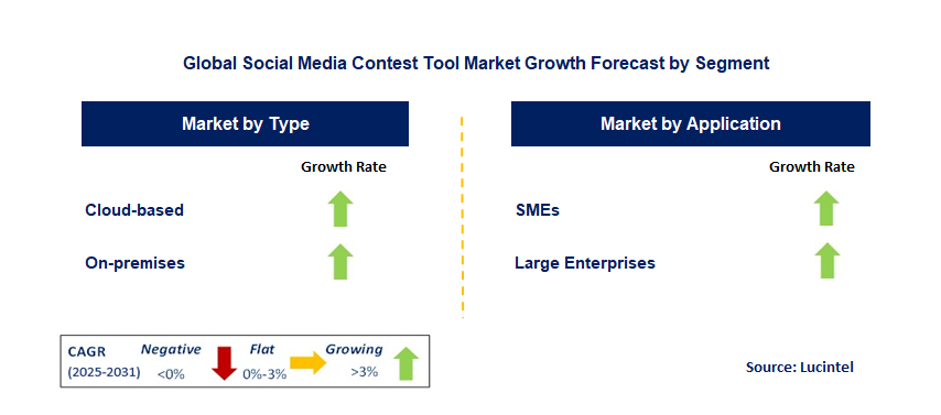 Social Media Contest Tool Market by Segment