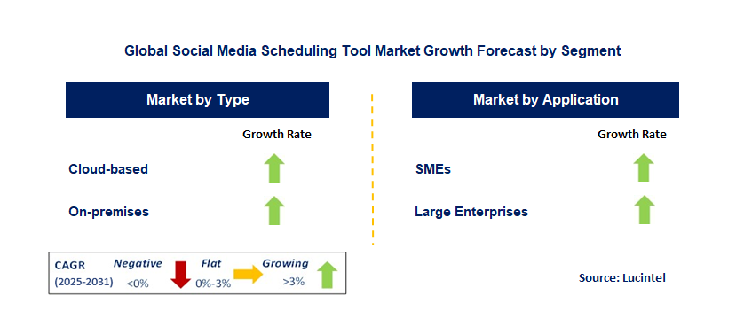 Social Media Scheduling Tool Market by Segment