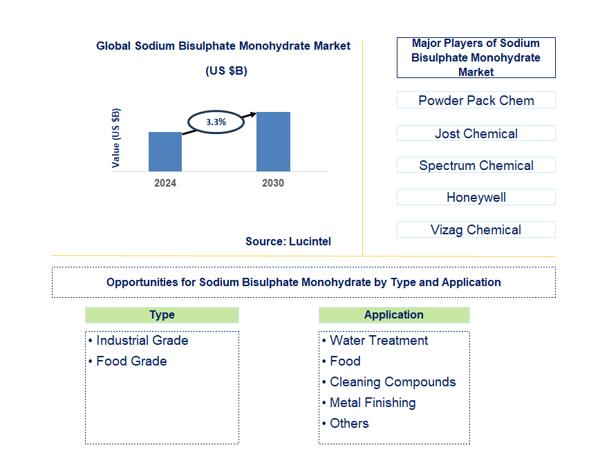 Sodium Bisulphate Monohydrate Trends and Forecast