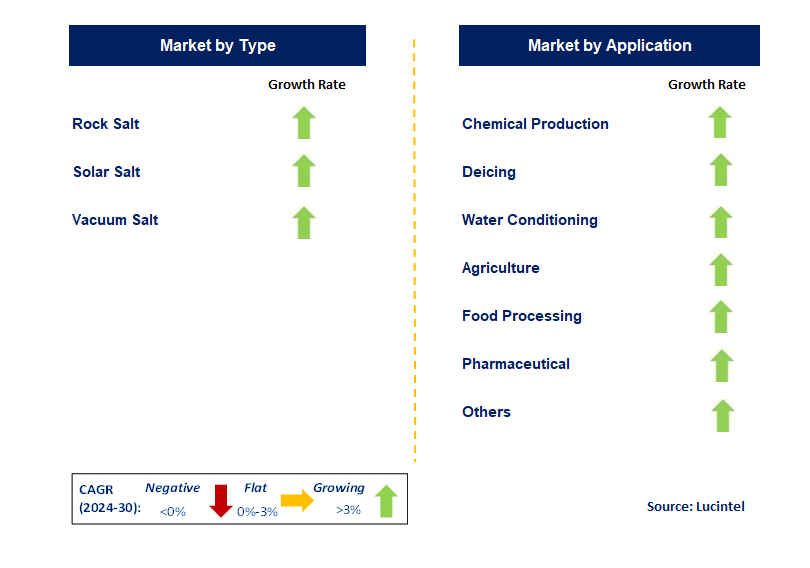 Sodium Chloride Market by Segment