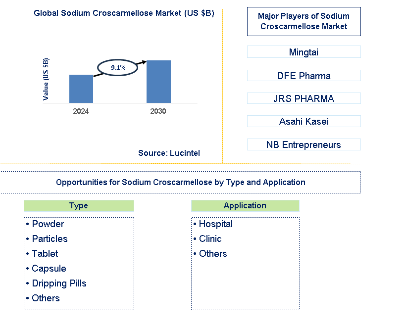 Sodium Croscarmellose Trends and Forecast