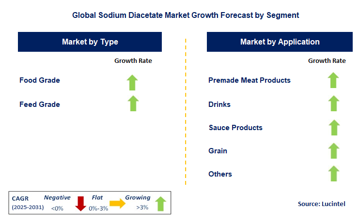 Sodium Diacetate Market by Segment