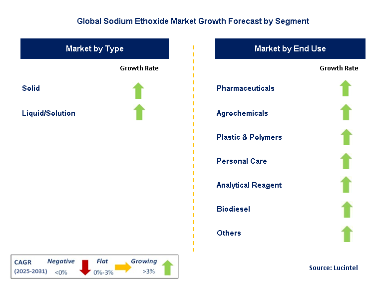 Sodium Ethoxide Market by Segment