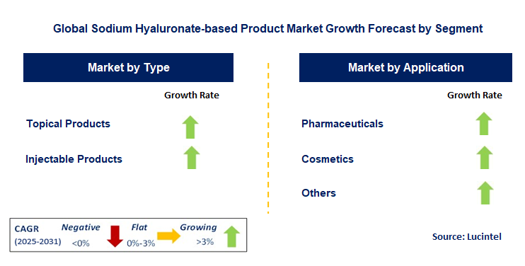 Sodium Hyaluronate-based Product Market by Segment