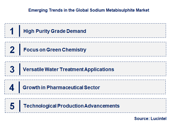 Emerging Trends in the Sodium Metabisulphite Market