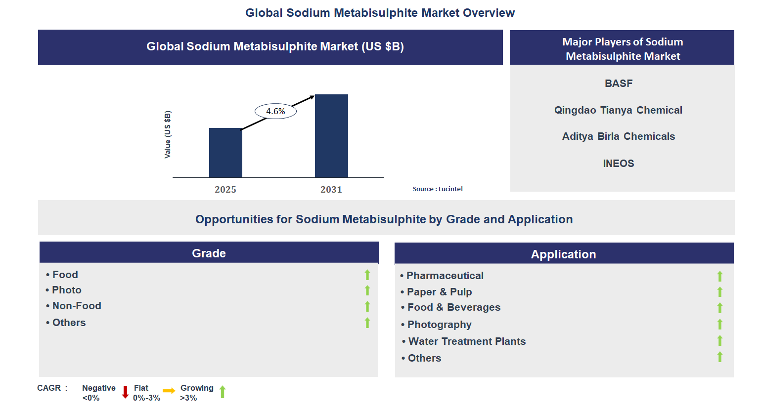 Sodium Metabisulphite Market Trends and Forecast