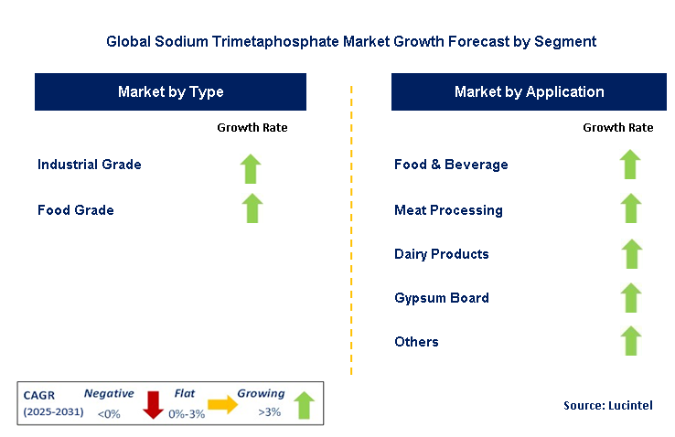 Sodium Trimetaphosphate Market by Segment