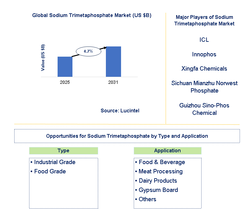 Sodium Trimetaphosphate Market Trends and Forecast