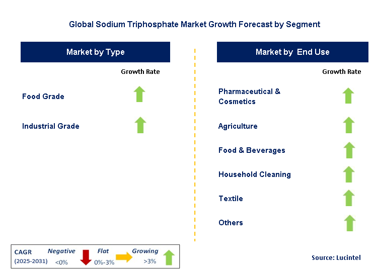 Sodium Triphosphate Market by Segment