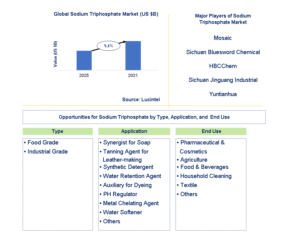 Sodium Triphosphate Market Trends and Forecast