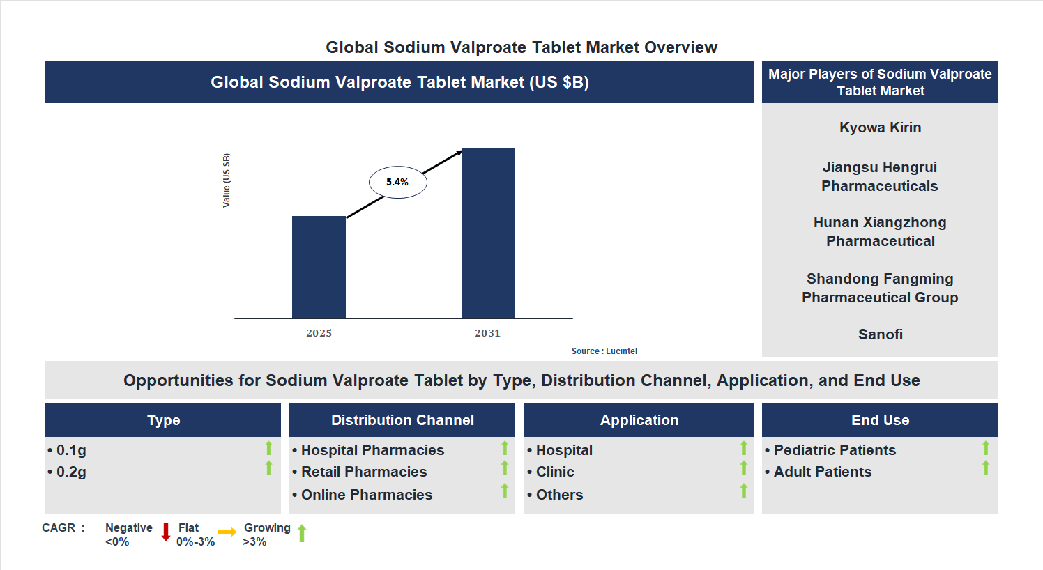 Sodium Valproate Tablet Market Trends and Forecast