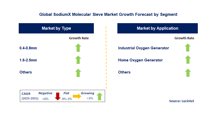 Sodiumx Molecular Sieve Market by Segment