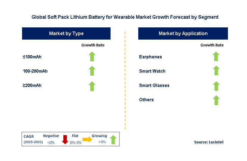 Soft Pack Lithium Battery For Wearable Market by Segment