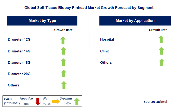 Soft Tissue Biopsy Pinhead Market by Segment