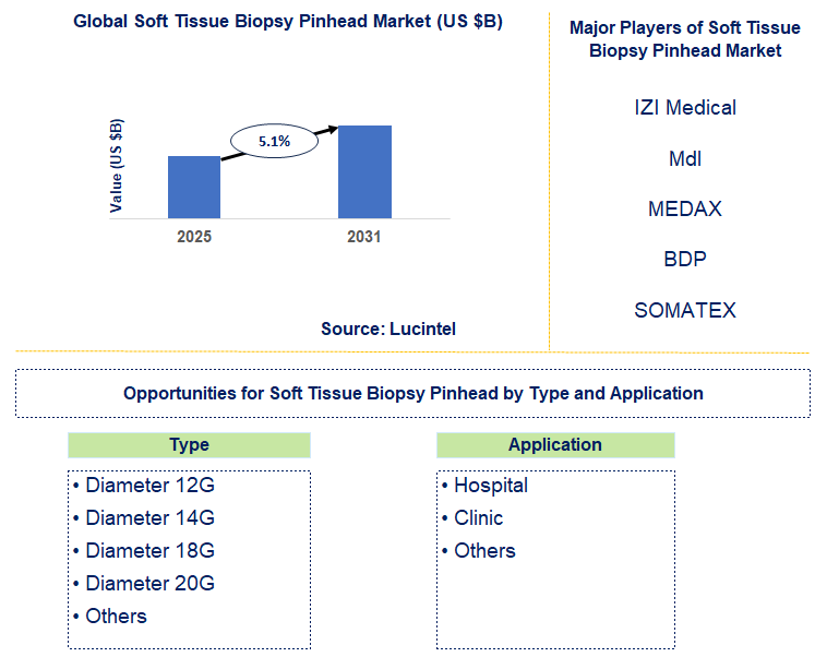 Soft Tissue Biopsy Pinhead Market Trends and Forecast