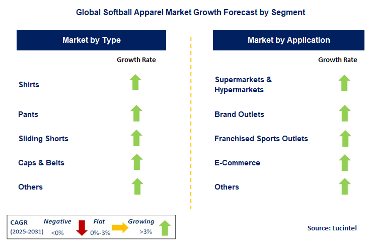 Softball Apparel Market by Segment