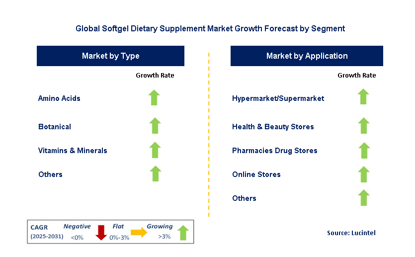 Softgel Dietary Supplement Market by Segment