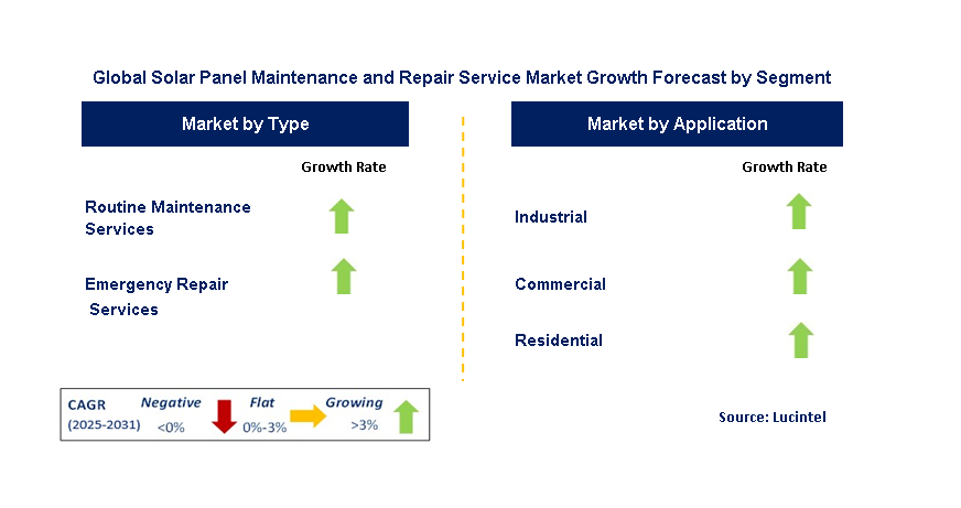 Solar Panel Maintenance and Repair Service Market by Segment