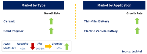 Solid Electrolyte Market by Segment