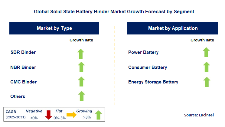 Solid State Battery Binder Market by Segment