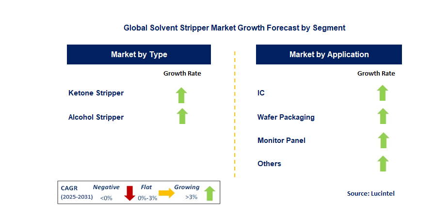 Solvent Stripper Market by Segment
