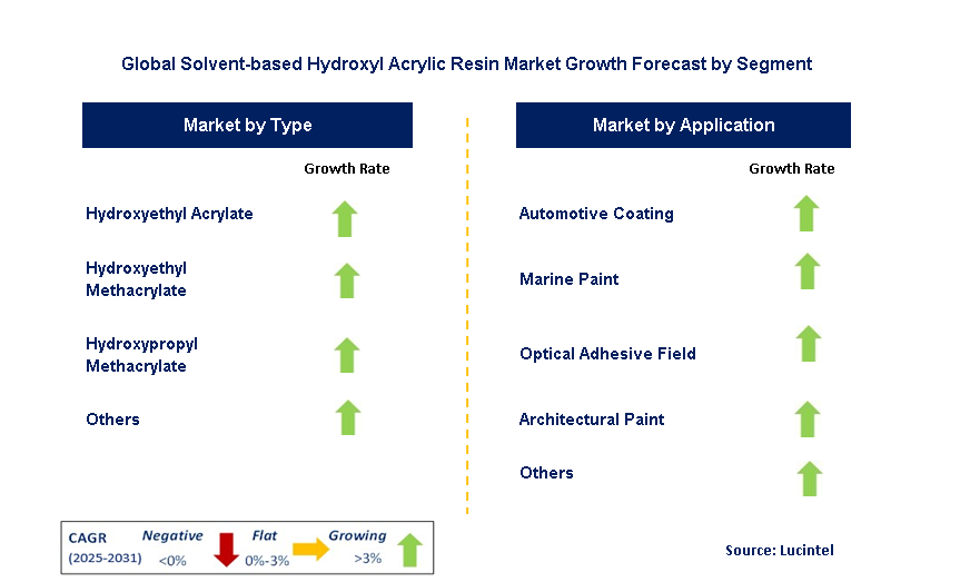 Solvent-based Hydroxyl Acrylic Resin Market by Segment